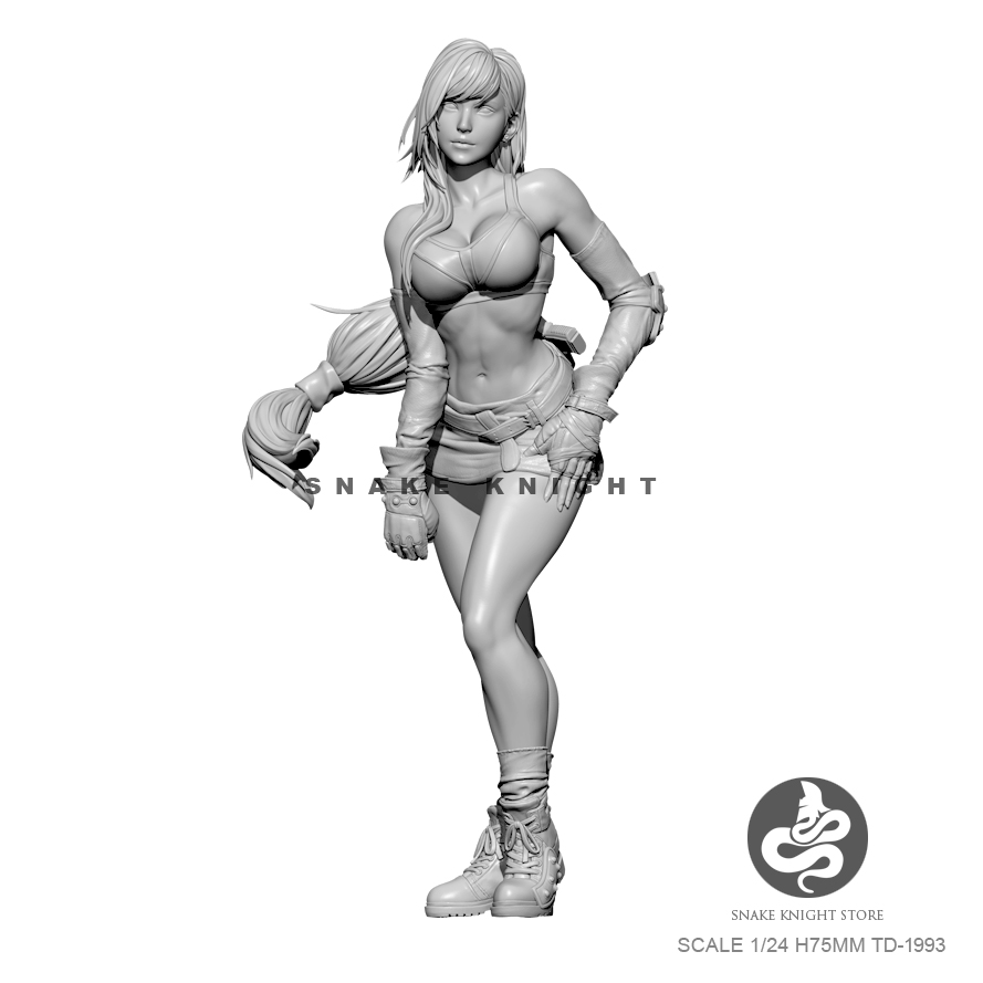 1/24 Resin Kits Figure Soldier - Model Kit Galahad 评论和价格