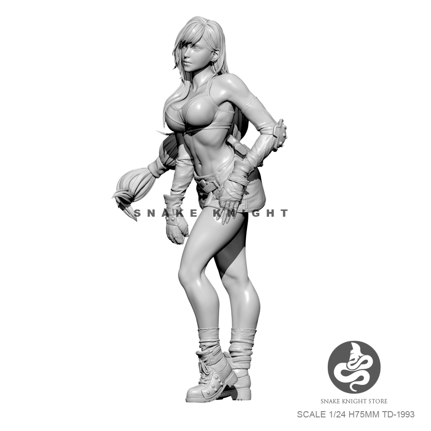 1/24 Resin Kits Figure Soldier - Model Kit Galahad 评论和价格