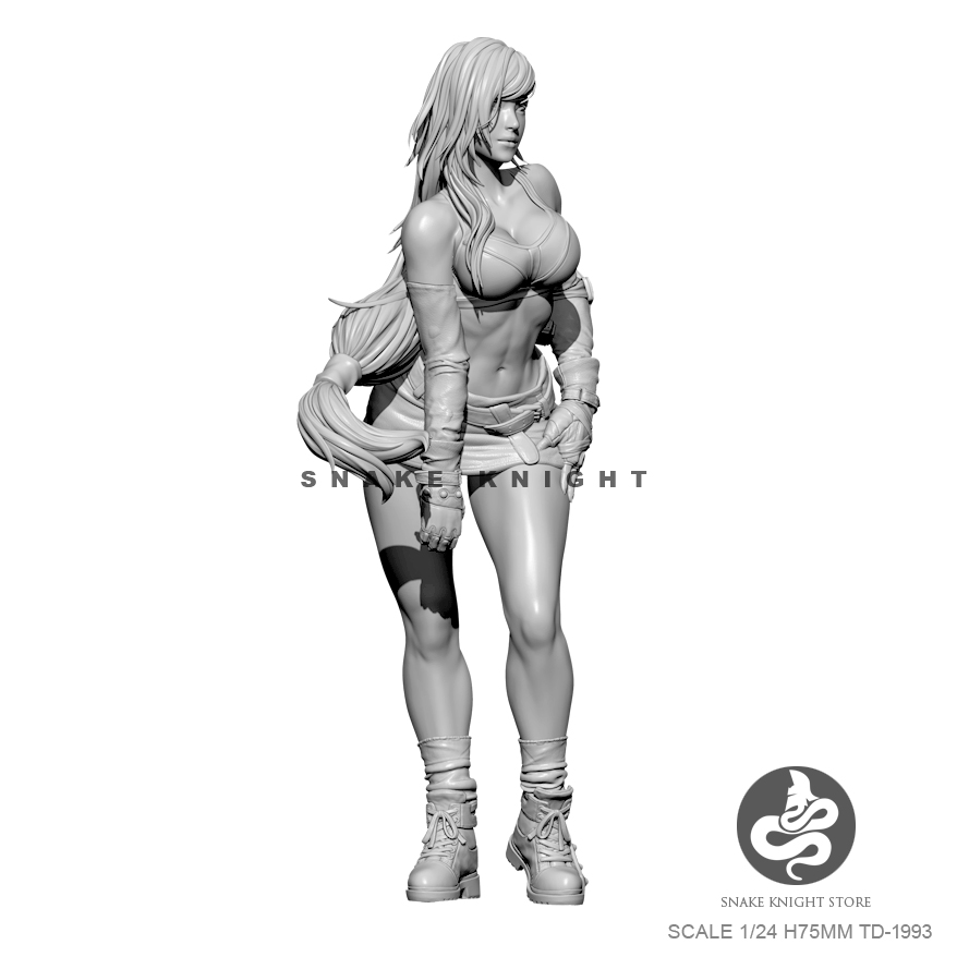 1/24 Resin Kits Figure Soldier - Model Kit Galahad 评论和价格